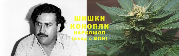 PSILOCYBIN Абинск