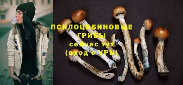 ешки Абдулино