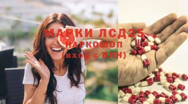 PSILOCYBIN Абинск