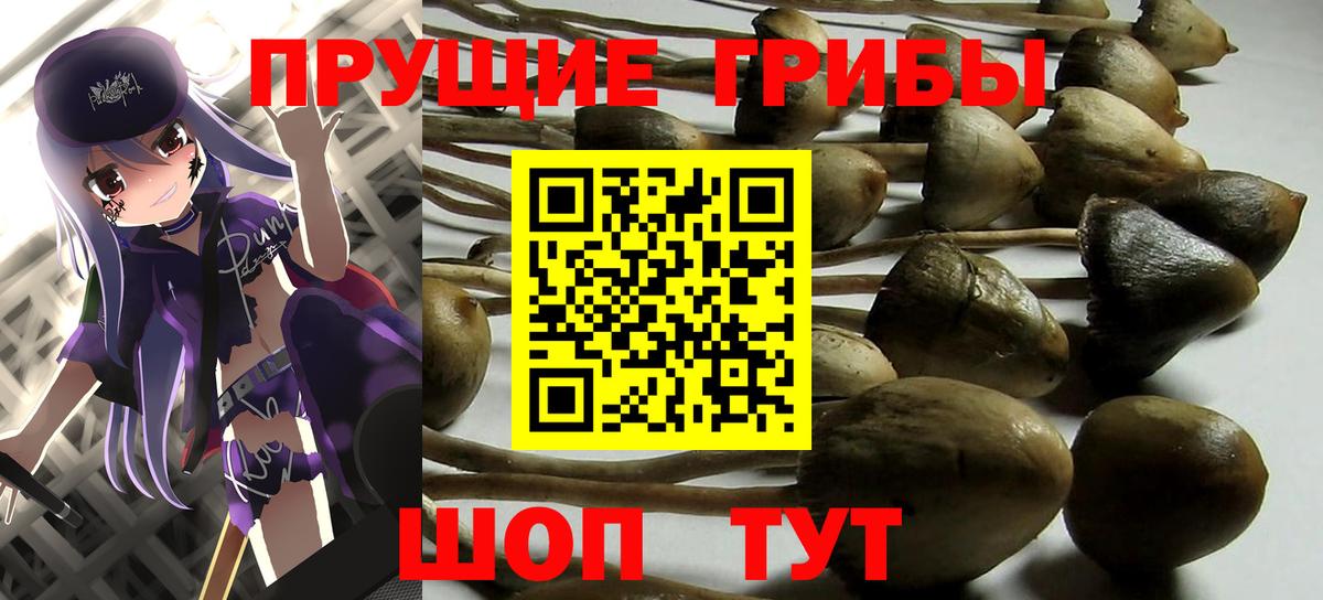 Псилоцибиновые грибы Magic Shrooms Таганрог